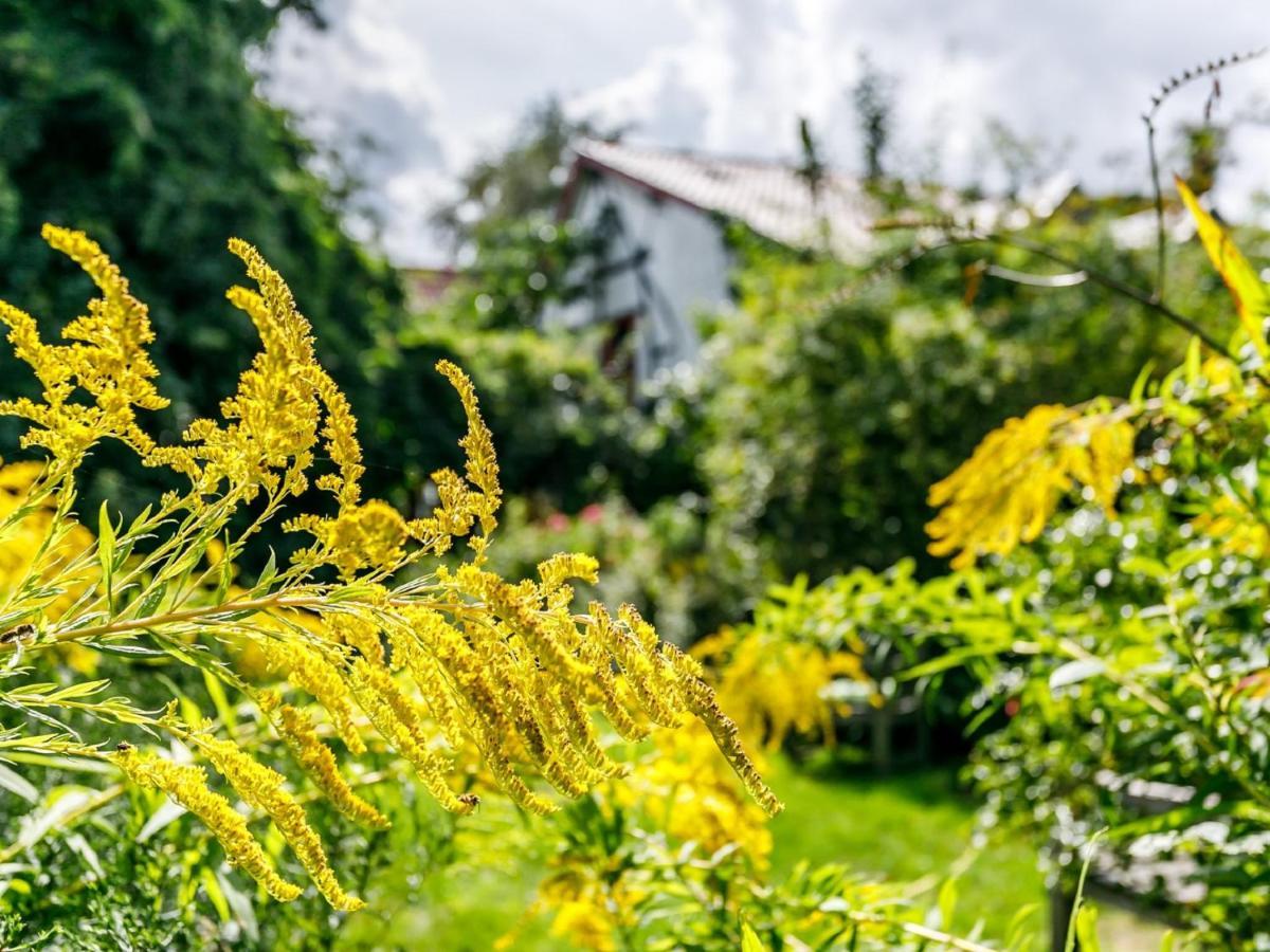 Bed and Breakfast Kleebergerhofke Mechelen Zewnętrze zdjęcie